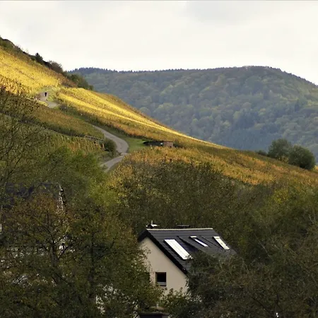 Ferienwohnung Rissbach Apartment